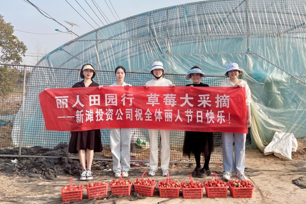 新灘投資公司開(kāi)展&ldquo;三八&rdquo;婦女節(jié)草莓采摘活動(dòng).jpg